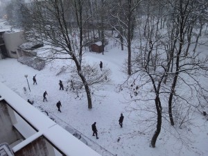 Snow fight from my window