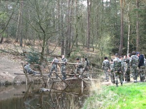 Building a bridge in the forest